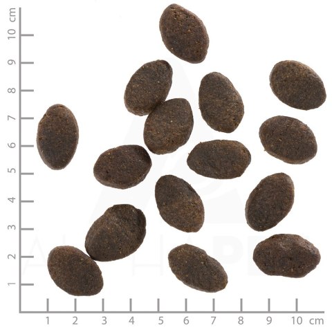 WOLFSBLUT Wild Pacific Adult fish/potatos 12,5kg