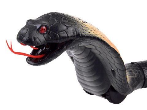 Cobra zdalnie sterowany Wąż na pilota RC0419 SZ