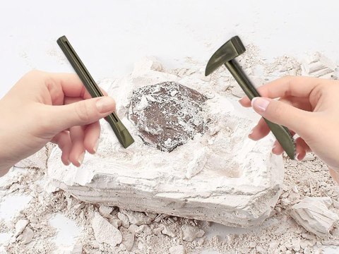 Zestaw archeologiczny Wykop niespodziankę skamieniałe LIŚCIE i KOŚCI ZA5753
