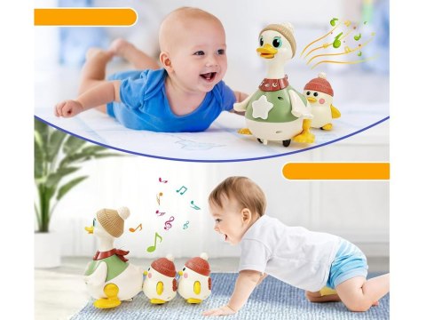 Interaktywna Rodzinka Kaczek Chodząca kaczka z małymi kaczuszkami ZA5422