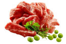 SHELMA karma sucha - pełnoporcjowa karma dla dorosłych kotów sterylizowanych. Bogata w wołowinę 750 g