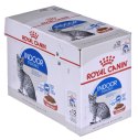 ROYAL CANIN FHN Indoor w sosie - mokra karma dla kota dorosłego - 12x85g