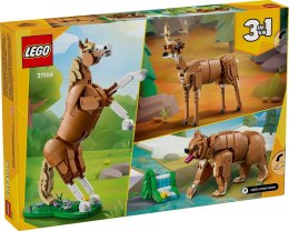 LEGO Creator 31166 Piękny koń