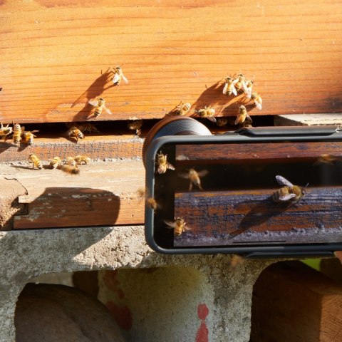 Obiektyw ShiftCam LensUltra 75mm Long Range Macro do fotografii mobilnej