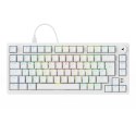 Sharkoon Gaming Tastatur Skiller SGK25 weiĂź DE
