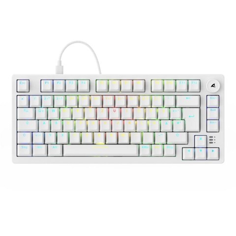 Sharkoon Gaming Tastatur Skiller SGK25 weiĂź DE