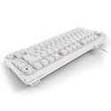 Sharkoon Gaming Tastatur Skiller SGK25 weiĂź DE