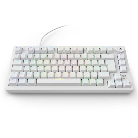 Sharkoon Gaming Tastatur Skiller SGK25 weiĂź DE