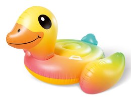 Intex 57556NP pływak basenowy i plażowy Wielobarwny Obraz Winyl