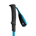 Kije trekkingowe Black Diamond DISTANCE CARBON FLZ POLES 125-140 cm