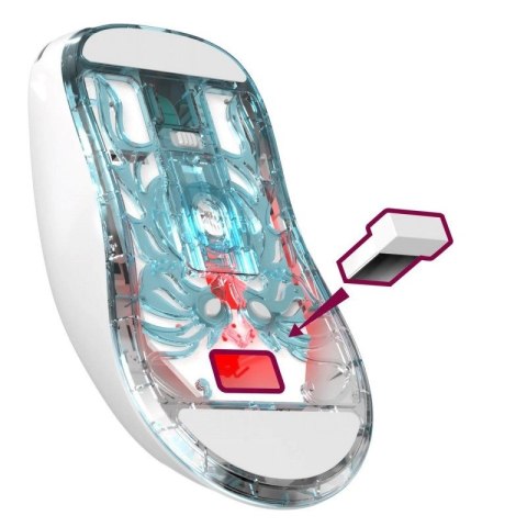 DEFENDER MYSZ BEZPRZEWODOWA FAME GM-516 RF+BT 10000DPI 6P BIAŁA 52516