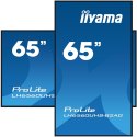 Monitor Iiyama 65 LH6560UHS-B2AG z HDMI i USB