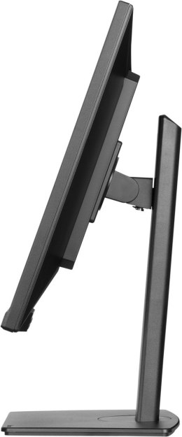 Monitor IIYAMA 80.0cm (32,0