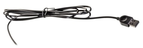 Lenovo Essential klawiatura Uniwersalna USB QWERTY US English Czarny 4Y41C68681