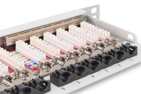 Panel krosowy high density 19'' 24x RJ45, LSA poziom, kat.6A, ekranowany, 0.5U, szary, prowadnica kabli