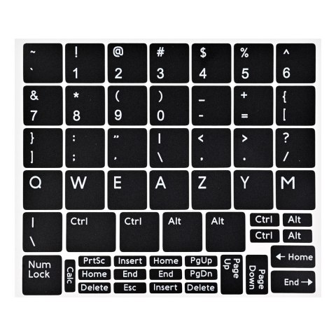 DELL PRECISION 5560 XEON W-11955M 32GB 512GB SSD 15,6" FHD (RTX A2000 6GB) Win11pro + zasilacz UŻYWANY