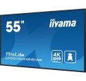 MONITOR IIYAMA LED 54,6" LH5575UHS-B1AG