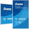 Monitor IIYAMA 139.0cm(55") LH5581UHSG-1AG 16:9 2xHDMI+USB-C