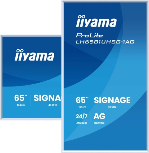 Monitor IIYAMA 164.0cm (64,5") LH6581UHSG-1AG 16:9 2xHDMI+USB-C (Speditionsversand)