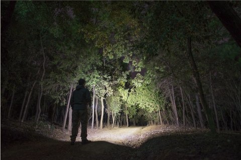 Latarka akumulatorowa Olight S2R II Baton Black