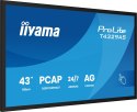 Monitor IIYAMA 108cm (42.5") T4329AS-B1AG 16:9 M-Touch 2xHDMI+UBS-C