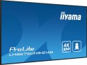 Monitor Iiyama ProLite LH8675UHS-B1AG