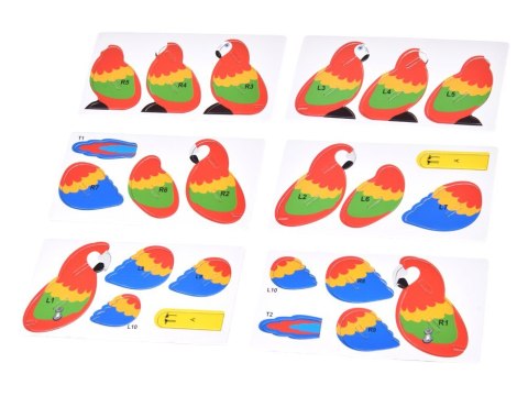 Puzzle 3D kartonowy model kolorowy PAPUGA ARA zrób to sam DIY 24 el ZA5719