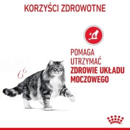 Royal Canin Feline Royal Canin Urinary Care karma mokra dla kotów dorosłych, ochrona dolnych dróg moczowych saszetka 85g