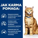 Hill's PD c/d urinary care, chicken, dla kota 3 kg