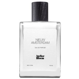 Nieuw Amsterdam woda perfumowana spray 100ml