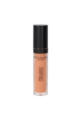 Mesauda Milano Pro Light Concealer P01 4ml