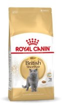 ROYAL CANIN FBN British Shorthair Adult - sucha karma dla dorosłego kota - 4kg