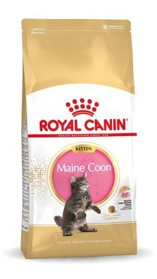 Royal Canin FBN Maine Coon Kitten - sucha karma dla kociąt - 10kg