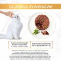 Gourmet Gold Savoury Cake jagnięcina i zielona fasola - mokra karma dla kota - 85 g