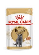 ROYAL CANIN FBN British Shorthair Adult - mokra karma dla dorosłego kota - 12x85g