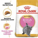 Royal Canin FBN British Shorthair Kitten - sucha karma dla kociąt - 2 kg