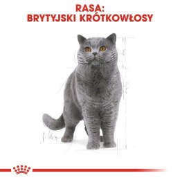 ROYAL CANIN FBN British Shorthair Adult - sucha karma dla dorosłego kota - 4kg