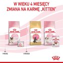 ROYAL CANIN FHN Babycat Instinctive Feline mus - mokra karma dla kociąt - puszka - 195 g