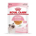 ROYAL CANIN FHN Kitten Instinctive in Jelly - mokra karma dla kociąt - 12x85g