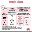 ROYAL CANIN FHN Kitten Instinctive in Jelly - mokra karma dla kociąt - 12x85g