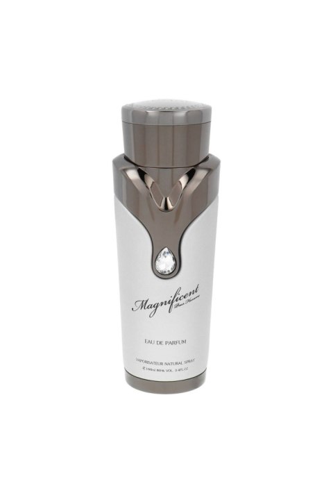 Armaf Magnificent Pour Homme Edp 100ml