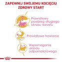 ROYAL CANIN FBN Maine Coon Kitten - sucha karma dla kociąt - 2kg