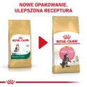 ROYAL CANIN FBN Maine Coon Kitten - sucha karma dla kociąt - 2kg