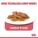 ROYAL CANIN FHN Indoor w sosie - mokra karma dla kota dorosłego - 12x85g