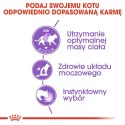 ROYAL CANIN FHN Sterilised w galaretce - mokra karma dla kota dorosłego - 12x85g