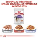 ROYAL CANIN FHN Sterilised w sosie - mokra karma dla kota dorosłego - 12x85g