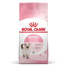 ROYAL CANIN Kitten 36 - sucha karma dla kota - 2 kg