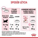 ROYAL CANIN Kitten 36 - sucha karma dla kota - 2 kg