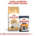 Karma Royal Canin FBN Ragdoll (0,40 kg )