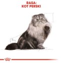 Royal Canin FBN Persian Adult - sucha karma dla kota dorosłego - 4kg